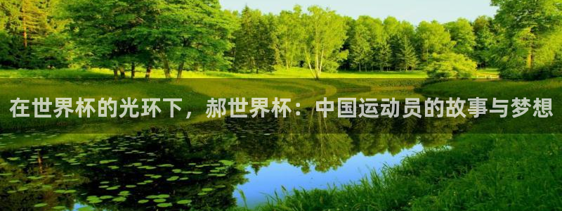 世界杯：在世界杯的光环下，郝世界杯：中国运动员的故事与梦想