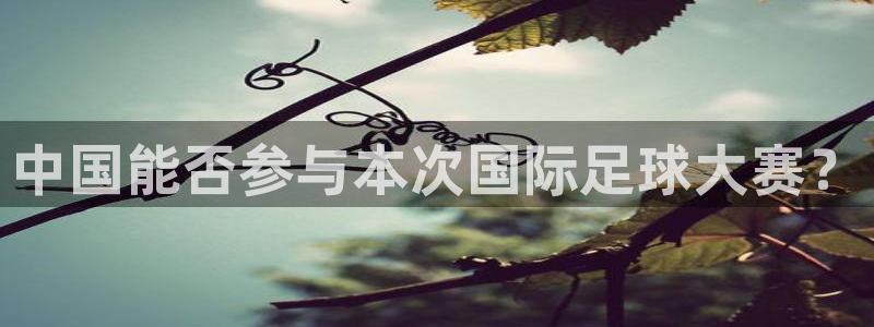 世界杯足球赛：中国能否参与本次国际足球大赛？