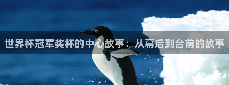 2026世界杯官网入口：世界杯冠军奖杯的中心故事：从幕后到台前的故事