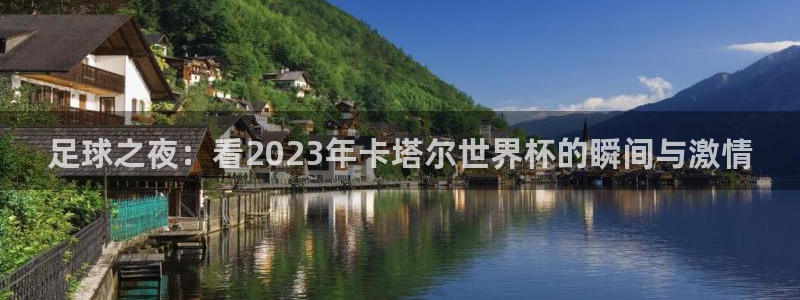 世界杯比赛时间：足球之夜：看2023年卡塔尔世界杯的瞬间与激情