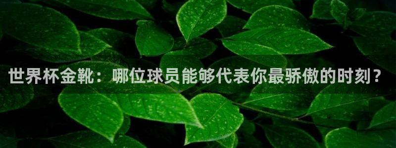 世界杯赛程2026：世界杯金靴：哪位球员能够代表你最骄傲的时刻？