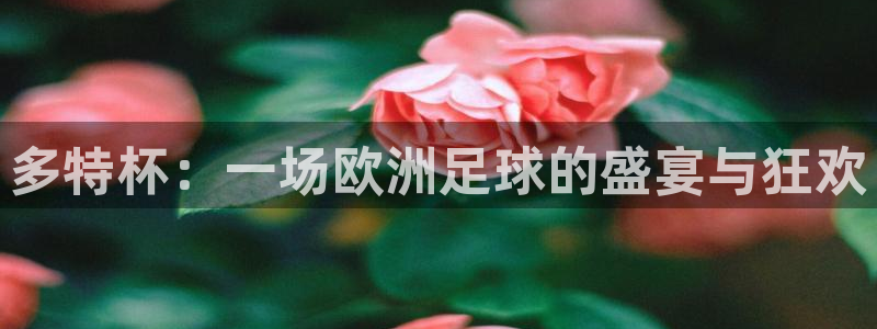 女足世界杯直播在线观看免费高清：多特杯：一场欧洲足球的盛宴与狂欢