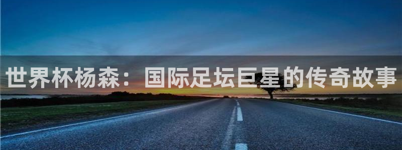 中国 世界杯：世界杯杨森：国际足坛巨星的传奇故事