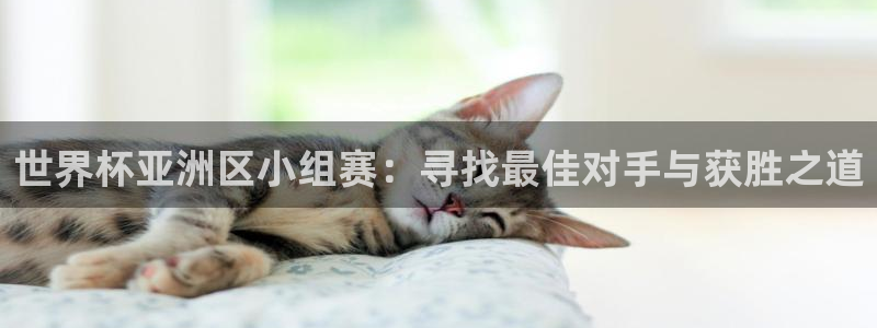 世界杯 中国：世界杯亚洲区小组赛：寻找最佳对手与获胜之道