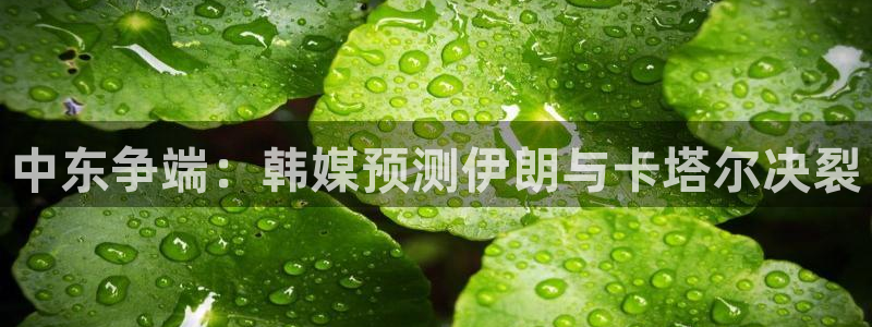 2026年世界杯赛程表时间：中东争端：韩媒预测伊朗与卡塔尔决裂