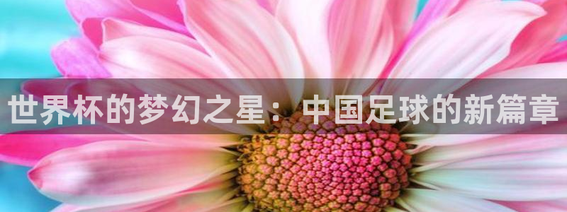 世界杯系列赛：世界杯的梦幻之星：中国足球的新篇章