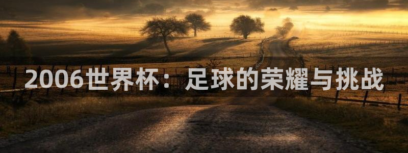 足球世预赛：2006世界杯：足球的荣耀与挑战