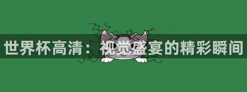 世界直播：世界杯高清：视觉盛宴的精彩瞬间