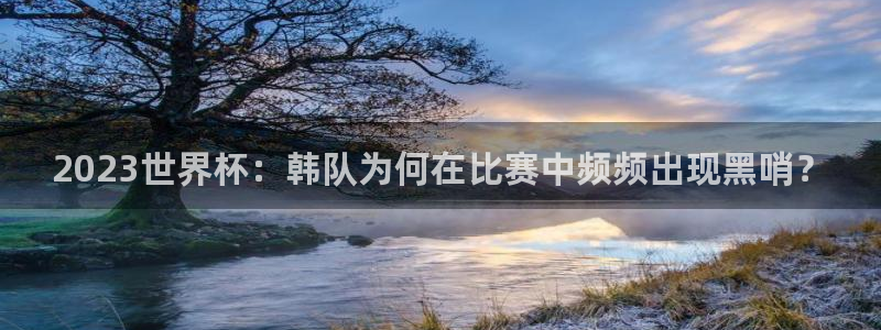 世界杯转播表：2023世界杯：韩队为何在比赛中频频出现黑哨？