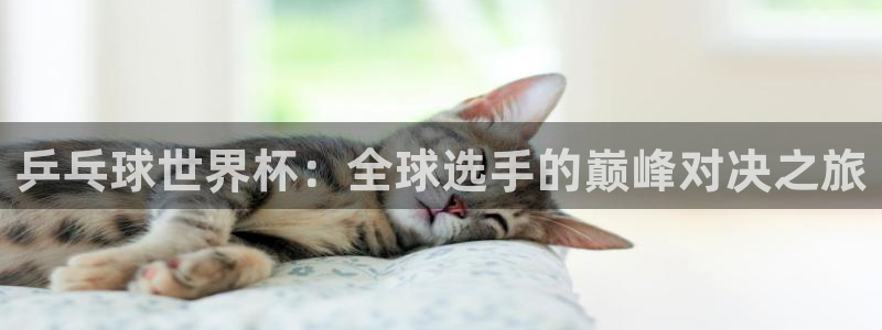 世界杯视频：乒乓球世界杯：全球选手的巅峰对决之旅