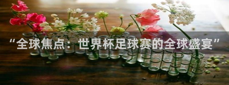 世界杯决赛预测：“全球焦点：世界杯足球赛的全球盛宴”