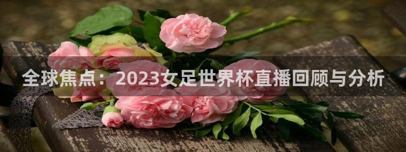 足球杯：全球焦点：2023女足世界杯直播回顾与分析