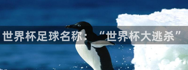 世界杯赛程表2026：世界杯足球名称：“世界杯大逃杀”